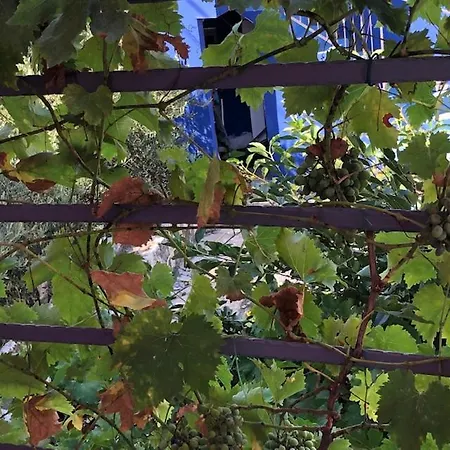 U Villi Bb2 Gornji Zalik Bb * モスタル