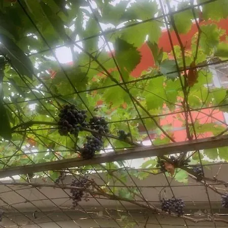 U Villi Bb2 Gornji Zalik Bb Vendégház *