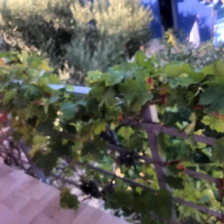 ゲストハウス U Villi Bb2 Gornji Zalik Bb *